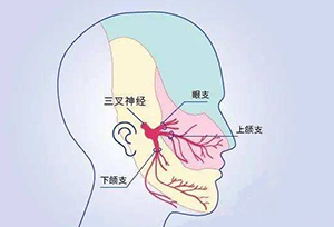 天道公告